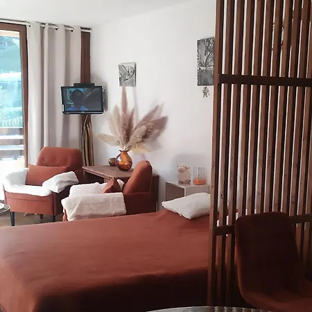 Appartement-montagnes, Pied Des Pistes Et Rémontées, été Hiver *